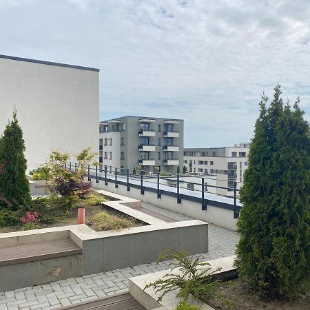 Astoria Apartment - Pet Friendly Брашов Экстерьер фото
