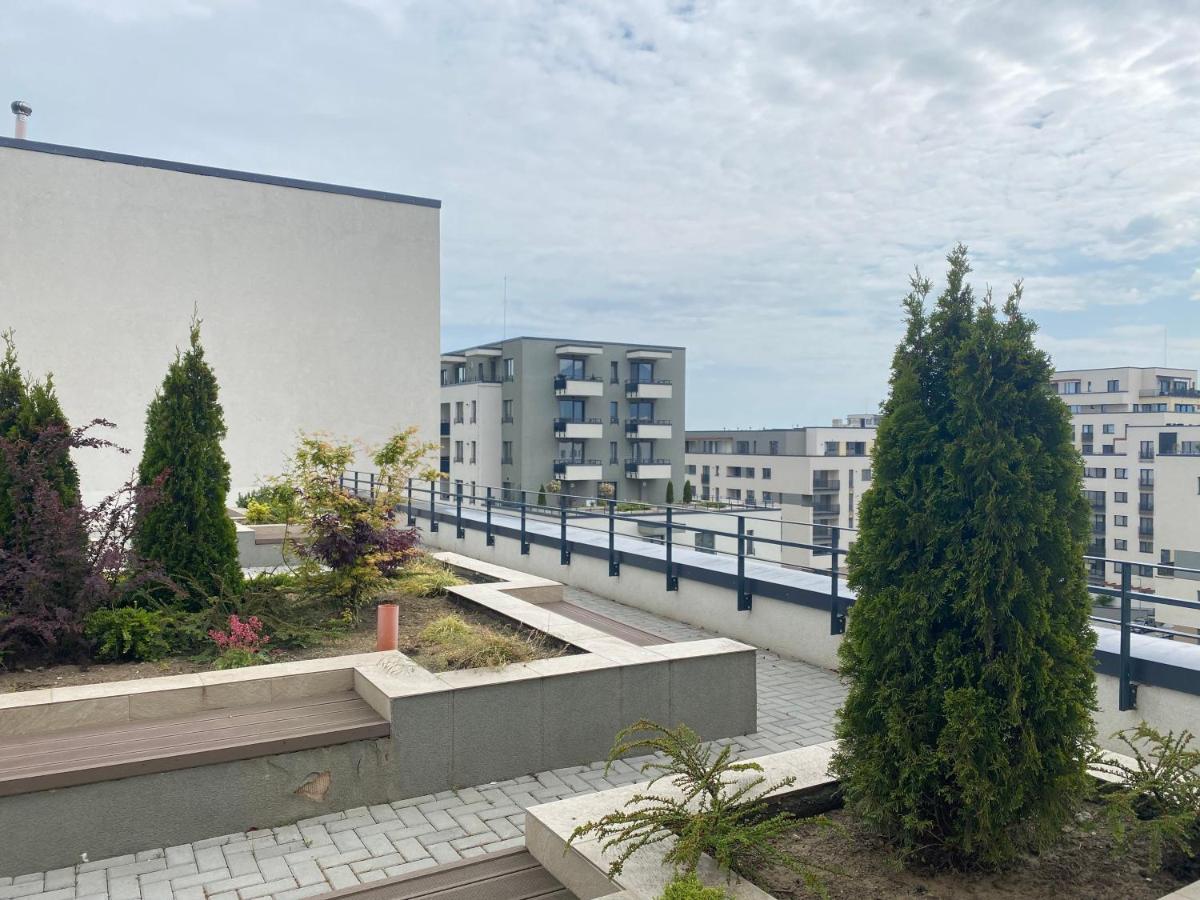 Astoria Apartment - Pet Friendly Брашов Экстерьер фото
