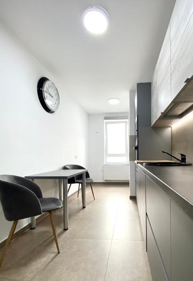 Astoria Apartment - Pet Friendly Брашов Экстерьер фото